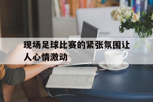 包含现场足球比赛的紧张氛围让人心情激动的词条